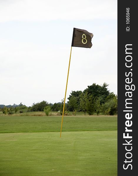 Flag on a golf green - hole 8 - portrait. Flag on a golf green - hole 8 - portrait