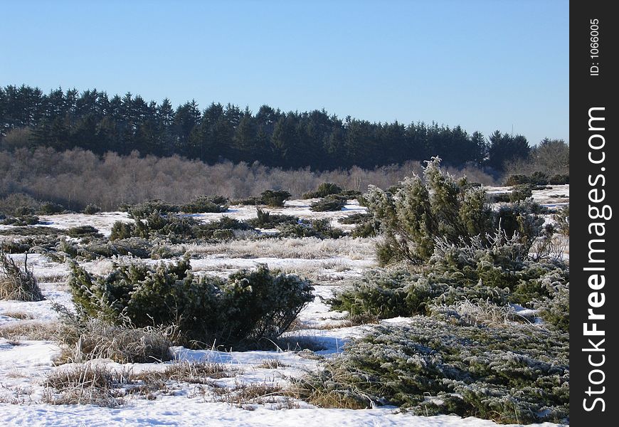 Hillside in the winter sun