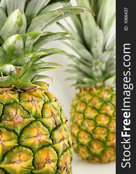 An isolated pineapple with leaves pointed towards the camera. An isolated pineapple with leaves pointed towards the camera