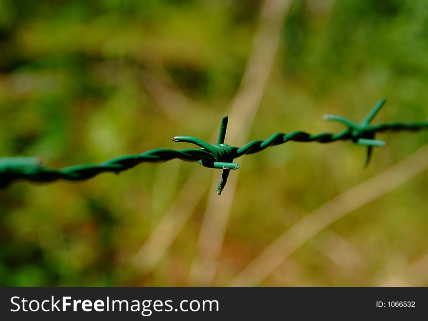 Close up of green barbed wire