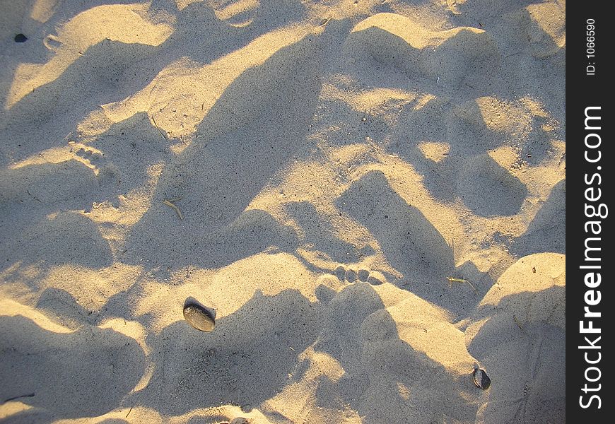 Tracks on the sand beach