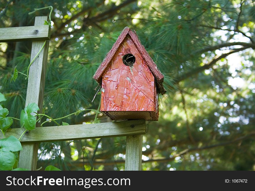 A Red Bird house sits precariously on the edge of a fence beneath the pine trees. A lovely Dahlia garden surrounds the area and provides a lovely view.