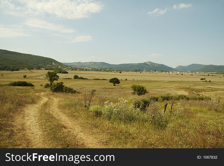 Yellow grassland in the Crimea