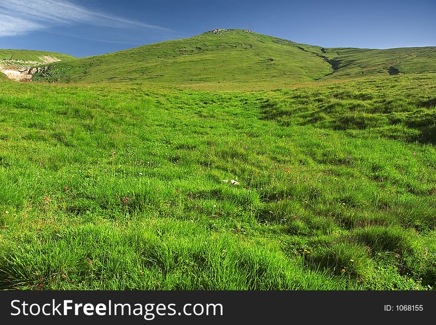 Green field from Romanian Carpathians - Bucegi. Green field from Romanian Carpathians - Bucegi