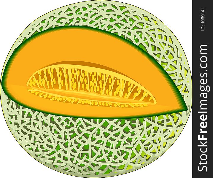 Cantaloupe Illustration