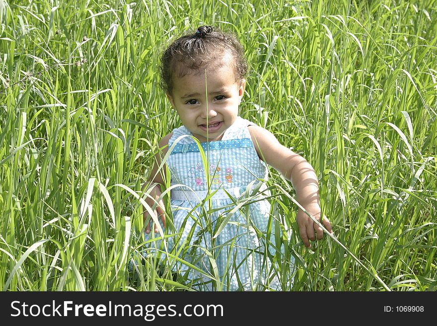 Little girl in field of grass. Little girl in field of grass