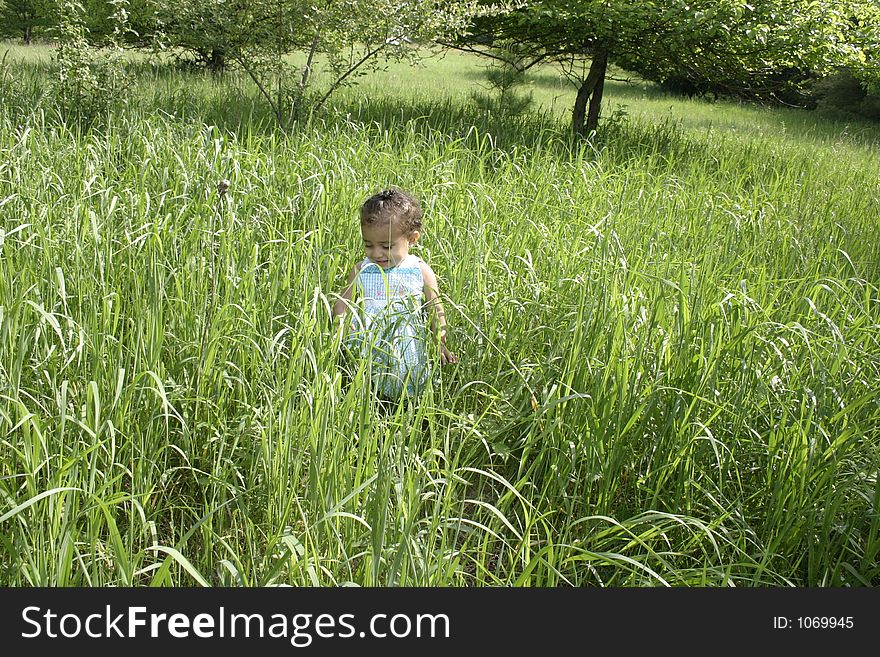Little girl playing in a field of grass. Little girl playing in a field of grass