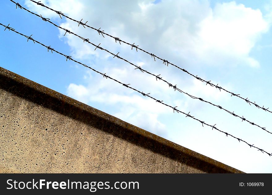 Barbed-wire fence. Barbed-wire fence