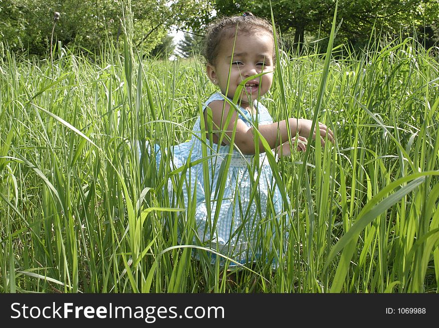 A little girl playing in high grass. A little girl playing in high grass