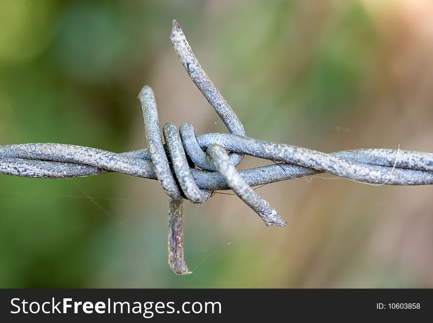 Close up of barbed wire fence with shallow DOF