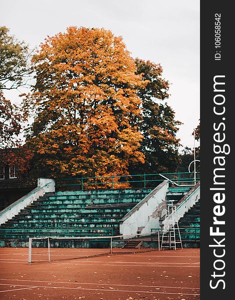 Empty Green and White Concrete Bleachers Near Brown Leaf Tree at Daytime