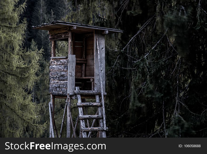 Brown and Gray Wooden Tree House Near Trees
