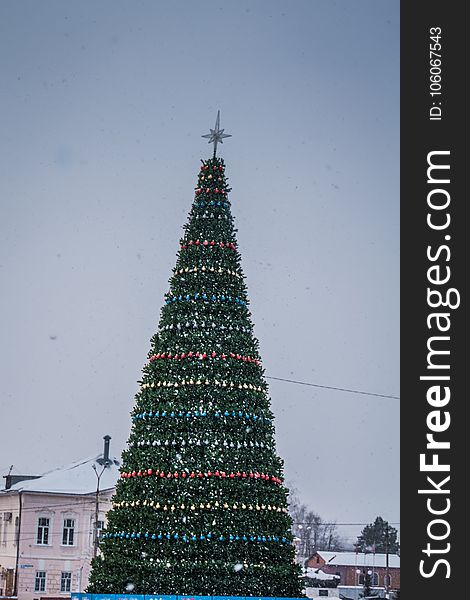 Fir tree decorated with colorful balls for Christmas time. Fir tree decorated with colorful balls for Christmas time.