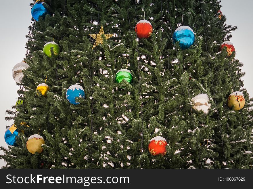 Fir tree decorated with colorful balls for Christmas time. Fir tree decorated with colorful balls for Christmas time.