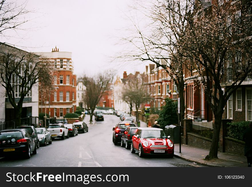 Red Mini Cooper Parked Near Brown Tree