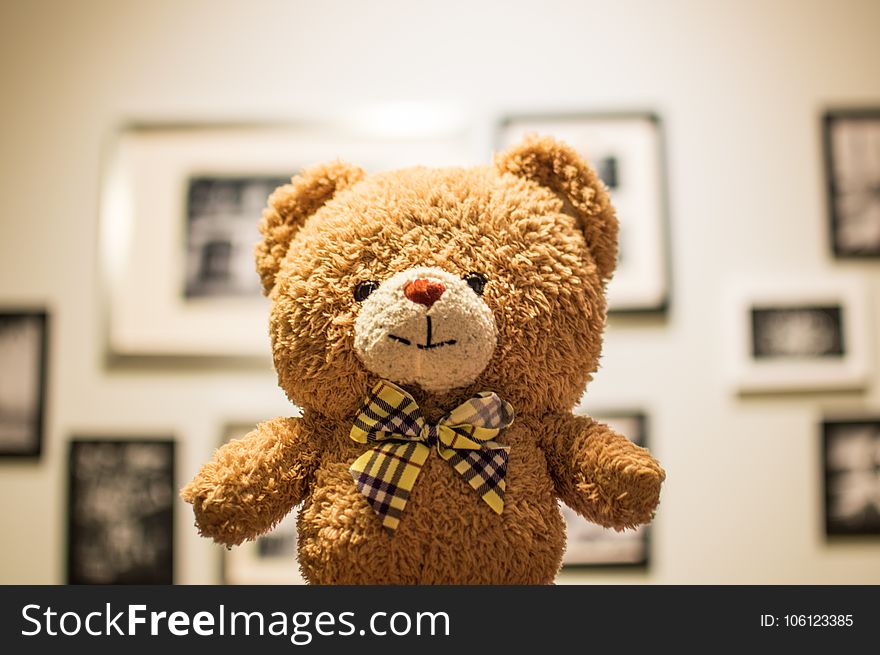 Brown Bear Plush Toy