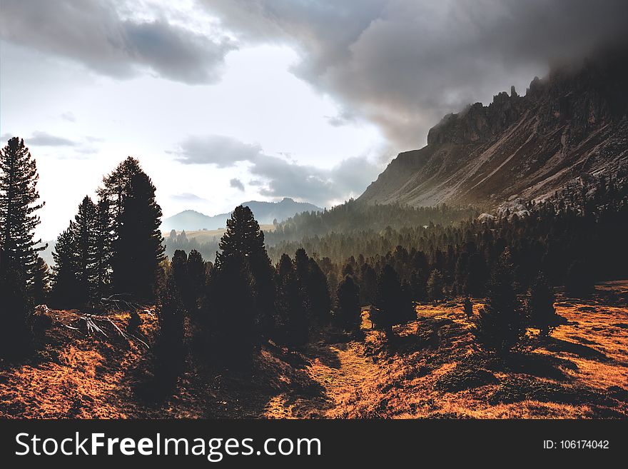 Silhouette Of Mountain Hill With Pine Trees Under White Cloud Blue Sky