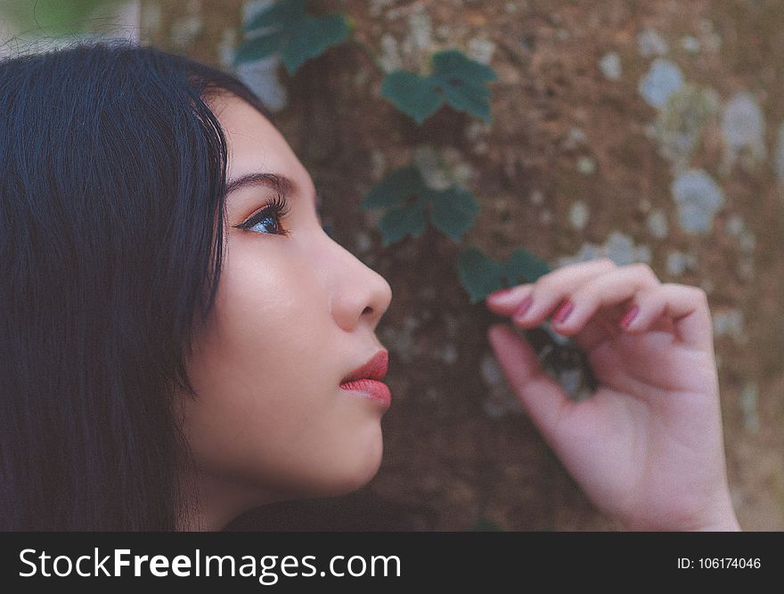Close Up Photo of Woman Looking Up Near Tree Trunk