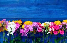 Bright Summer Flowers On Colorful Wooden Boards. Stock Images