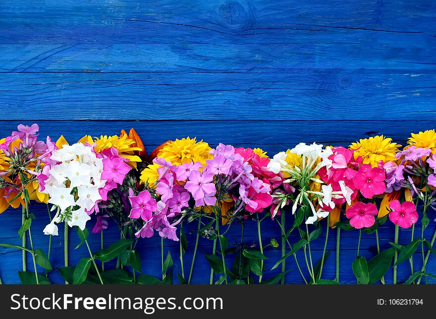 Bright summer flowers on colorful wooden boards.