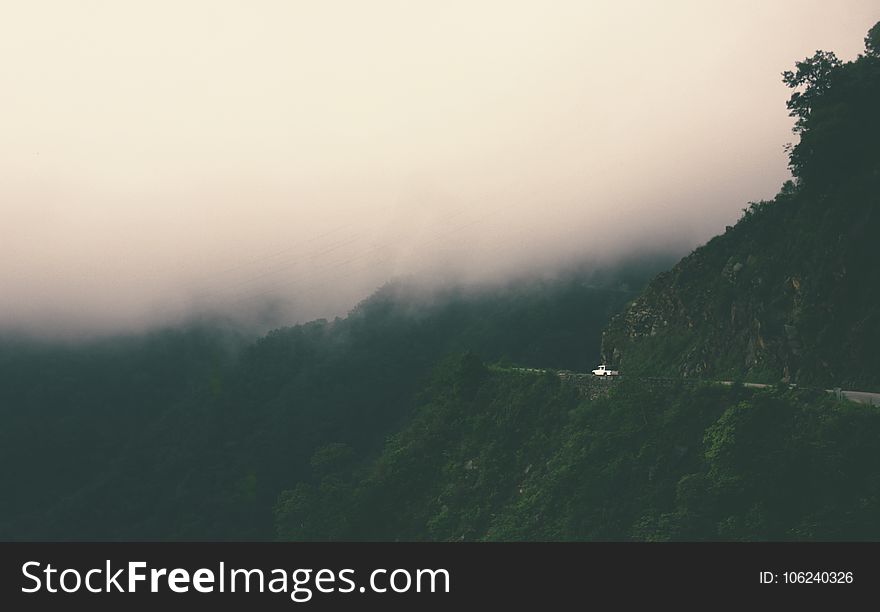 Mountain Surrounded By Trees Covered By Fog