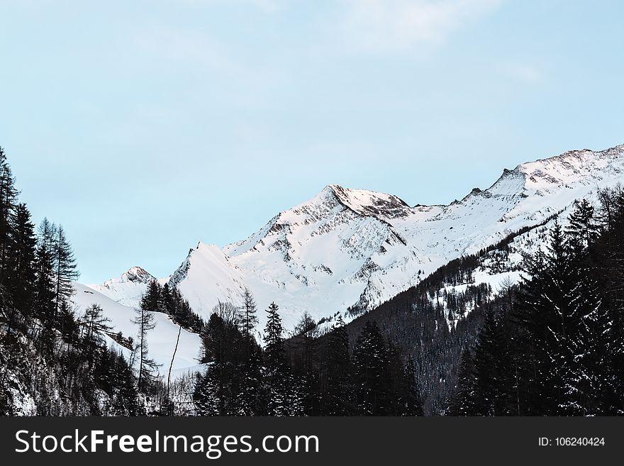 Snow Covered Mountain With Black Trees Under Blue Sky at Daytime