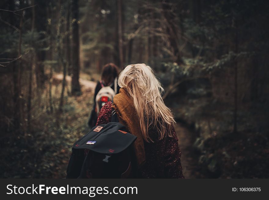 Woman in Brown Scarf Surrounded With Green Trees