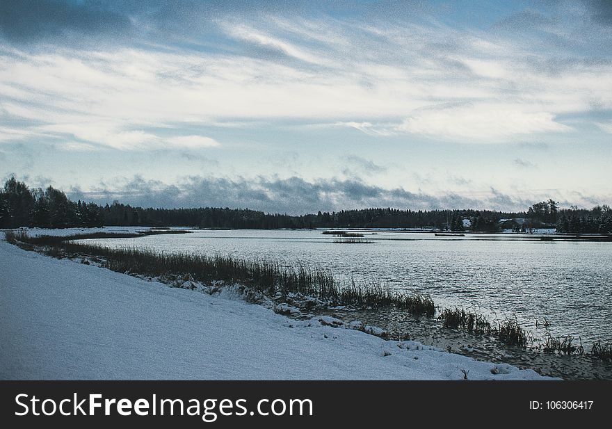 Snow Covered Field