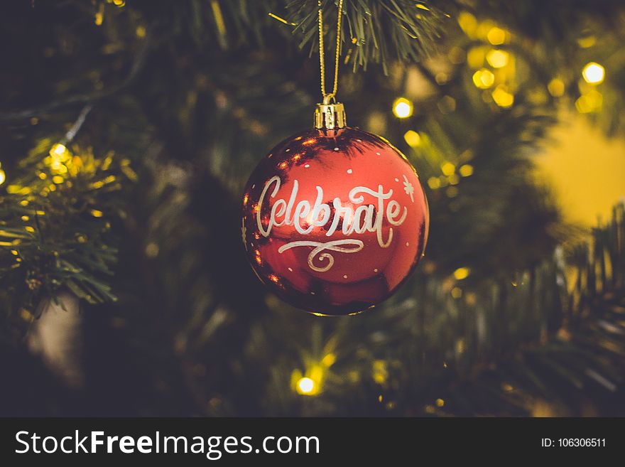Red Celebrate Print Baubles Hang on Green Christmas Tree