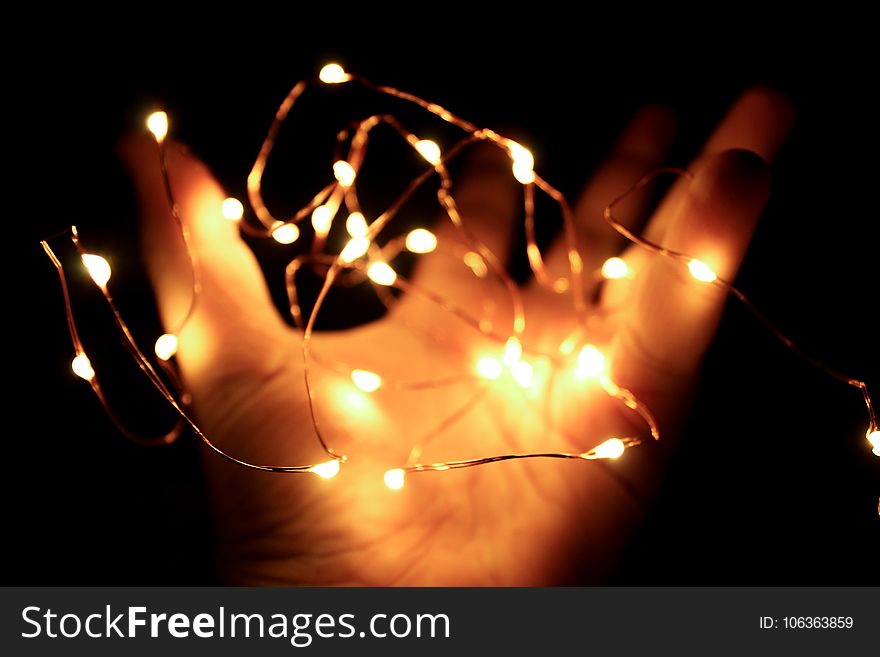 Person Holding String Lights