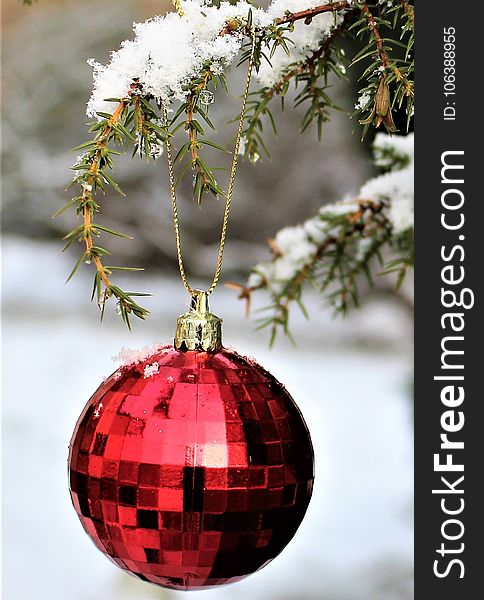 Christmas Ornament, Christmas Decoration, Christmas, Tree