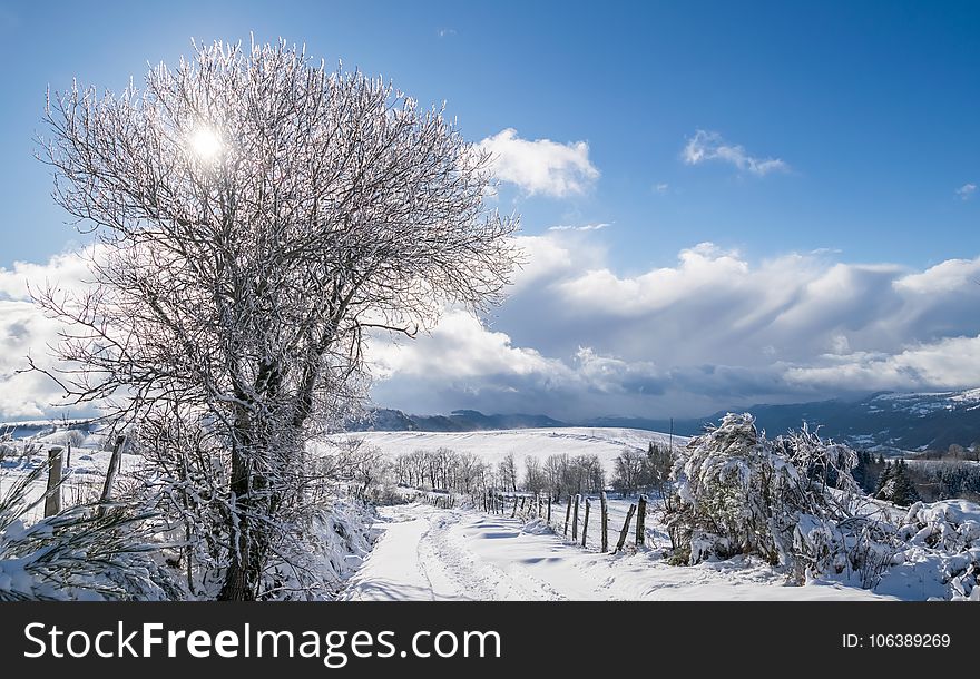 Winter, Sky, Snow, Freezing