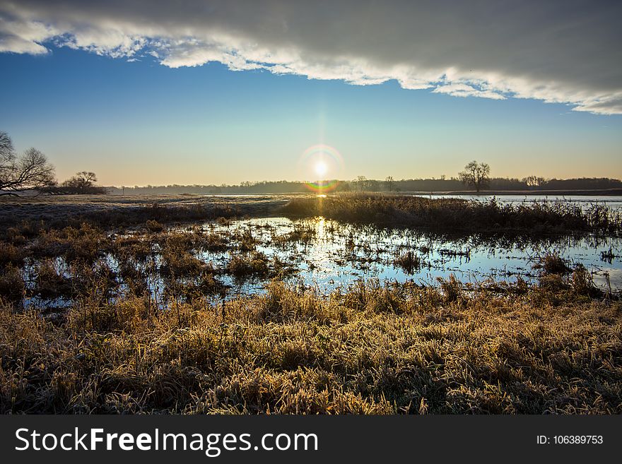Sky, Wetland, Reflection, Marsh