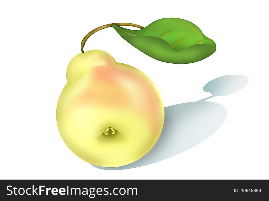 illustration of ripe yellow pear on a white. illustration of ripe yellow pear on a white