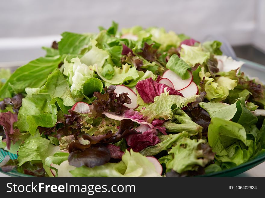 Dish, Salad, Food, Leaf Vegetable