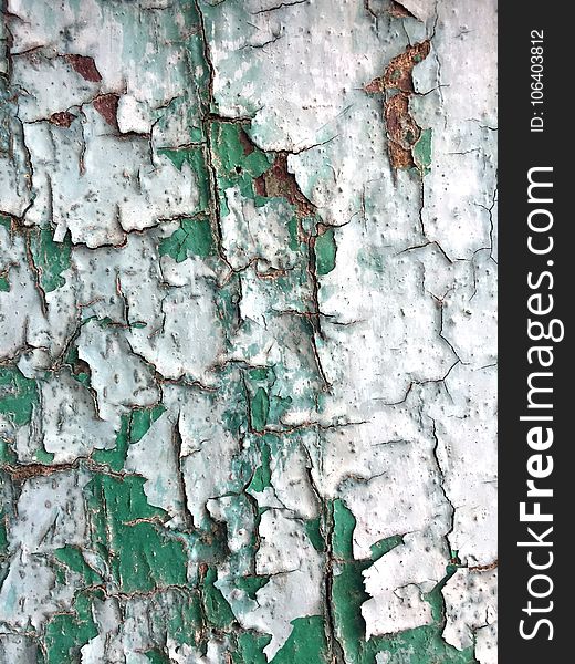 Green, Tree, Wall, Texture