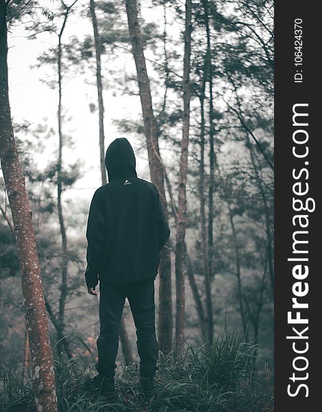 Man Wearing Black Hoodie With Black Pants Standing in the Middle of Forest