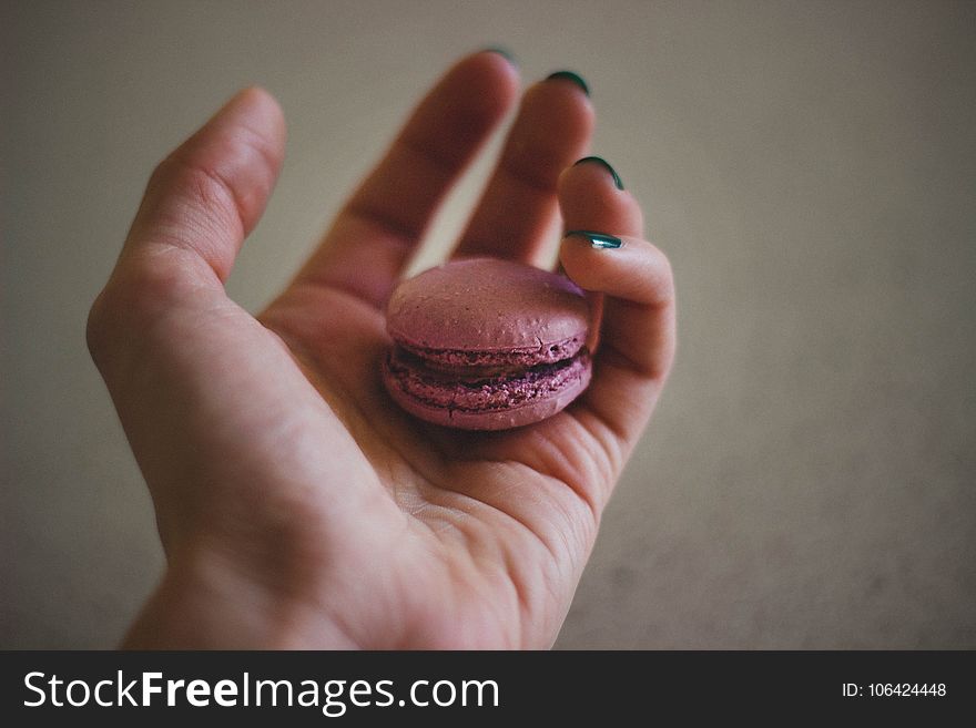 Pink Baked Biscuit