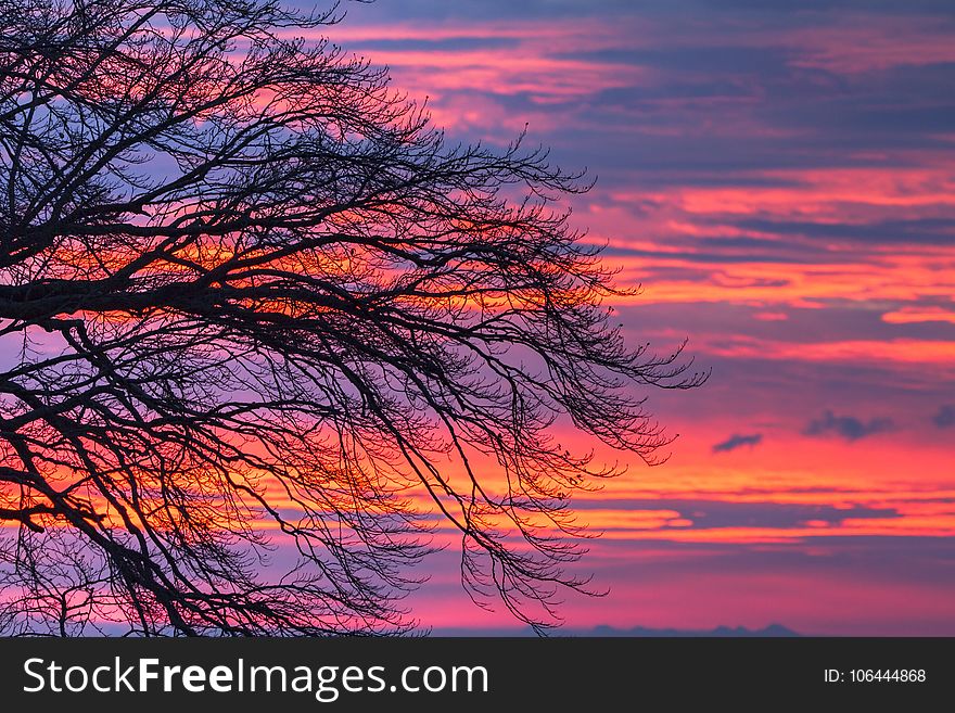 Sky, Red Sky At Morning, Afterglow, Sunrise