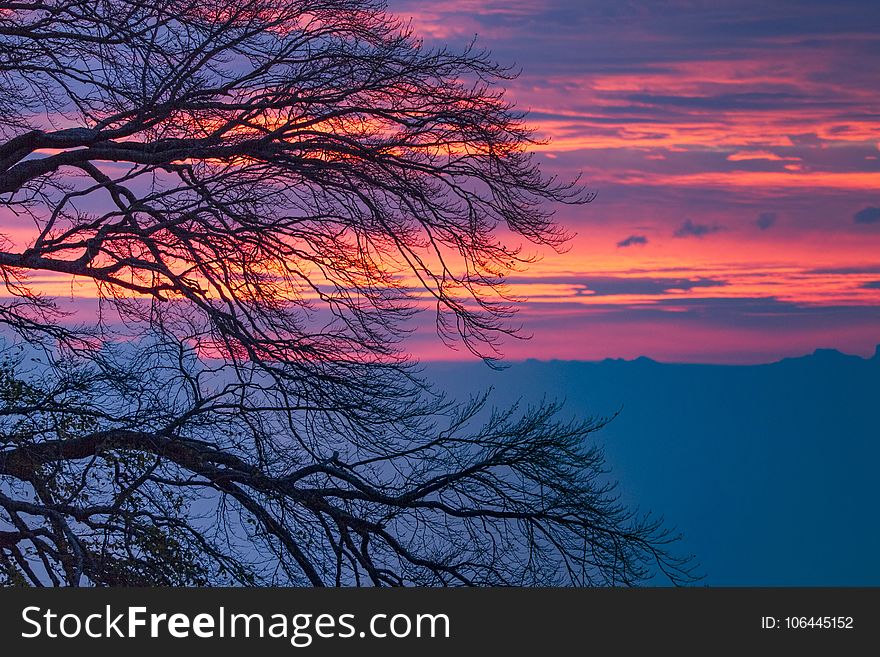 Sky, Red Sky At Morning, Afterglow, Sunrise