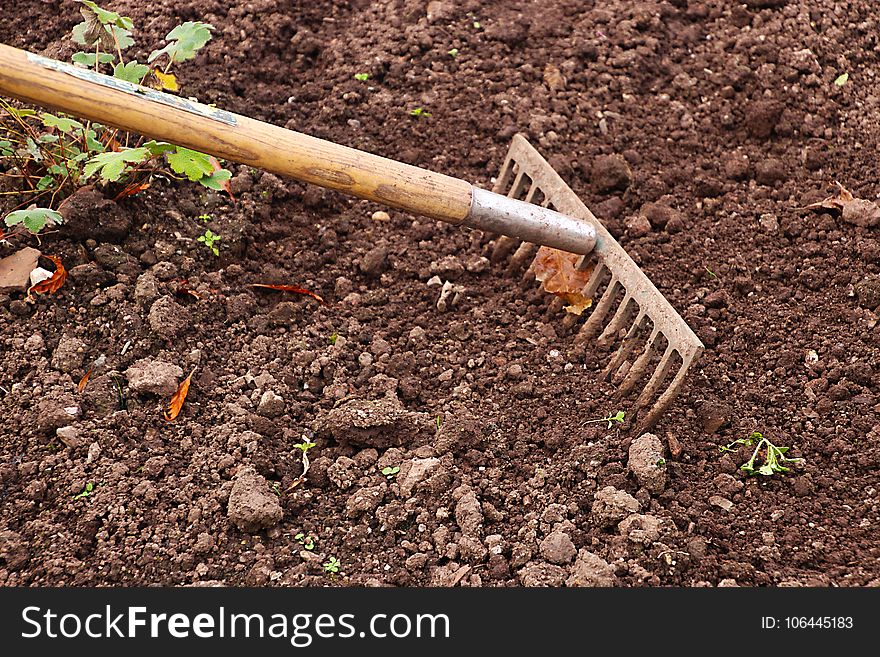 Soil, Plant, Grass, Sowing
