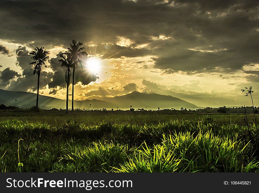 Sky, Nature, Field, Atmosphere