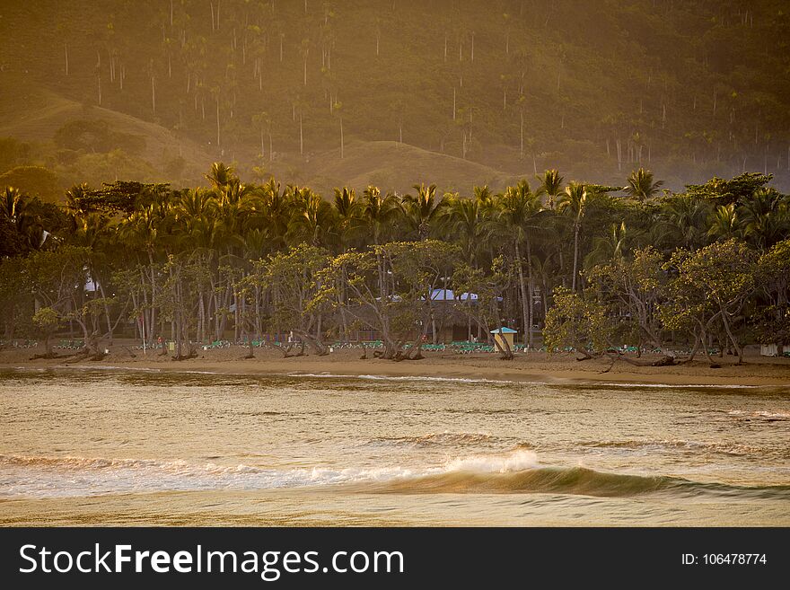 Tropical Beach In The Dominican Republic