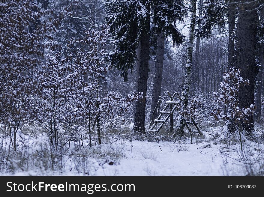 Animal Feeder In A Snow-covered Forest