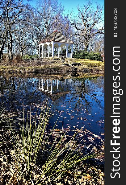 Reflection, Water, Nature, Tree