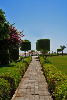 Long Pathway To The Beach (vertical) Royalty Free Stock Photography