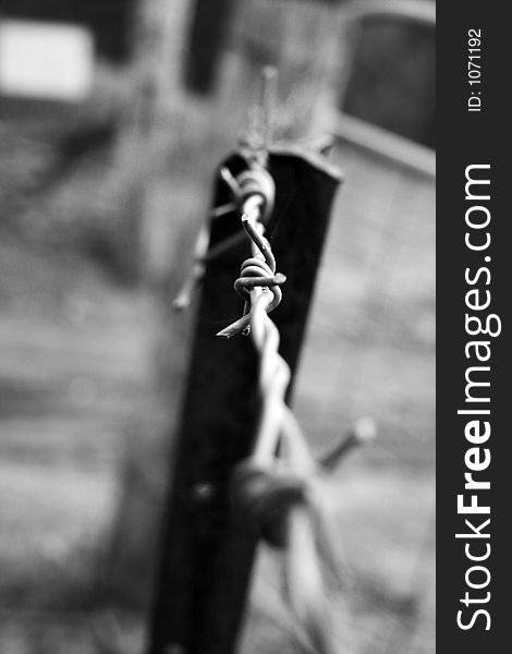 Barbed wired fence in black and white