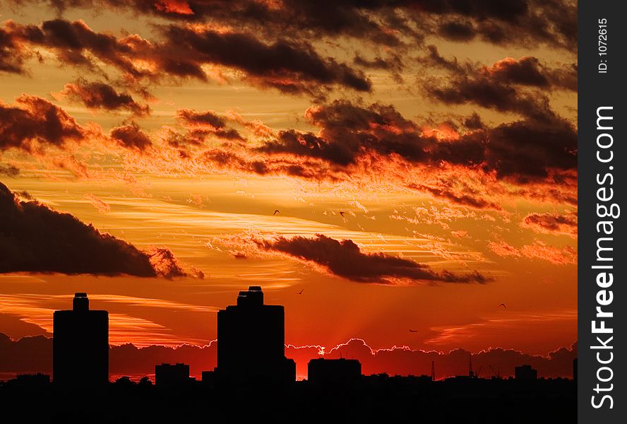 Red sunset with clouds and birds. Red sunset with clouds and birds