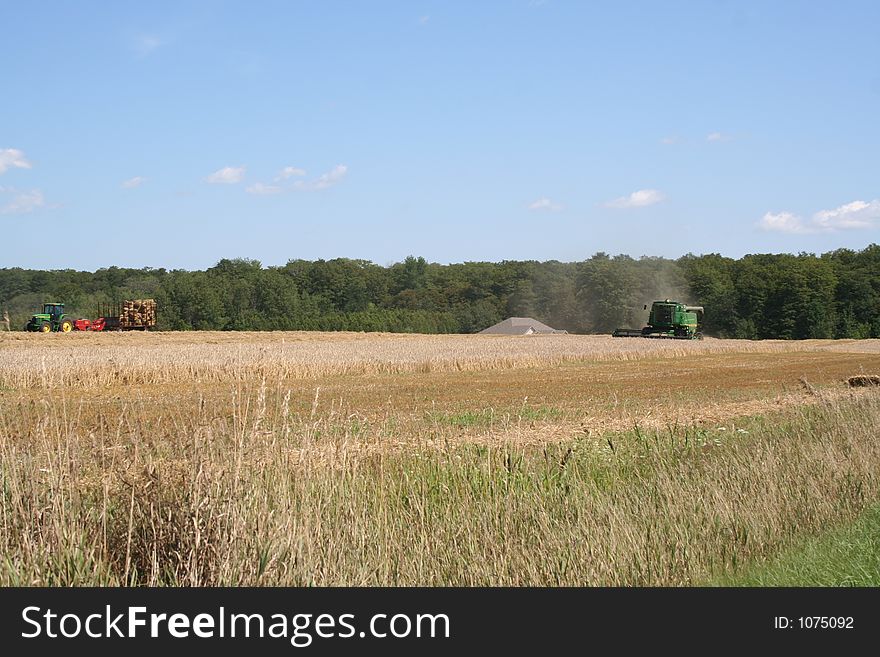 Harvest in Ontario