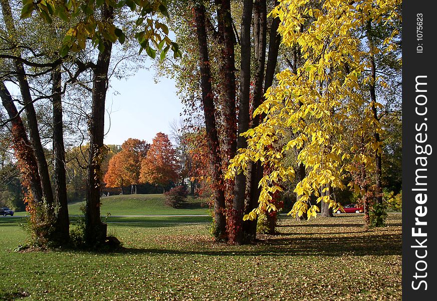 Sunny fall day. Sunny fall day